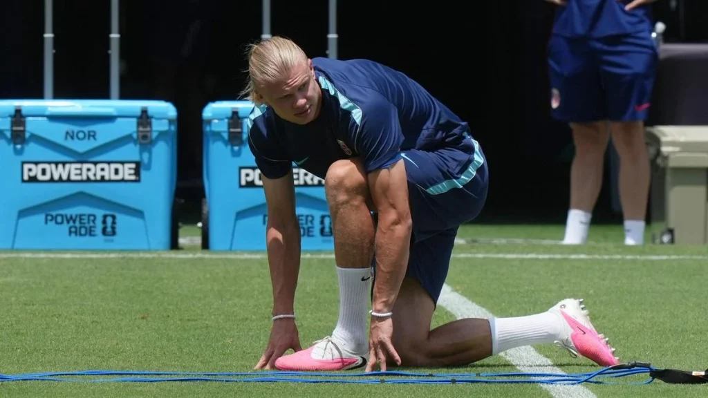 'Beast' Haaland a different player to me, says Kane
