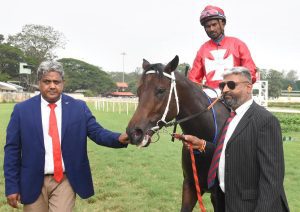 STUD POKER (Kameko - Cat’s Claw) Antony 1 , Black Irish (Ampere-Bee Quick) L.A — ZAVARAY S